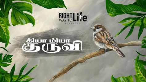 Watch Kiya Miya Kuruvi Song Tamil Christian action song for Kids https://youtu.be/Ypb_46Oh6eI Tamil Christian Song . . . #rightwaytolifeministry #rightwaytolife #christiansongs #christiansong #lyrics #lyricsvideo #jesuslovesyou #jesusforall #reels #whatsappstatus #jesuschrist #jesusloves #songs #kids Kuruvi Song, Kids Songs With Actions, Action Songs, Praise Songs, Christian Songs, What's App Status, Jesus Loves You, Kids Songs, Jesus Loves