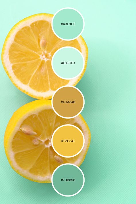 Use this color palette/color combo for inspiration on your next project! #colorpalette #colorcombos #lemon #mint #summerstyle Mint Color Palette, Mint Color Schemes, Mint Color Palettes, Yellow Kids Rooms, Lemon And Mint, Color Plan, Color Palette Yellow, Color Schemes Colour Palettes, Color Rush