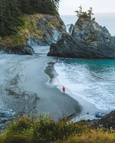 6 Best Photo Spots on the Southern Oregon Coast » Miss Rover Humboldt Redwoods State Park, Eureka California, Southern Oregon Coast, Oregon Photography, Oregon Road Trip, Pacific City, Hiking Spots, Southern Oregon, Secret Beach