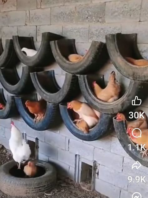 Recycle, Reuse and Repurpose! | Saw this on a video and thought it was a great idea for a bunch of old tires. | Facebook Tire Ideas, Repurposed Tire, Chic Chalet, Raising Chicken, Chicken Coop Run, Tyres Recycle, Old Tires, Chickens And Roosters, Chicken House