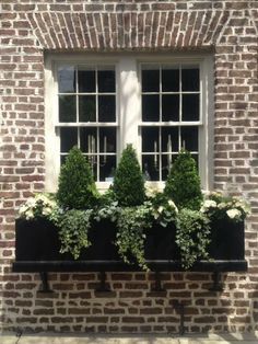 Christmas Window Boxes, Winter Window Boxes, Fall Window Boxes, Fall Windows, Lucy Williams, Window Box Flowers, Window Planters, Winter Window, Window Planter Boxes