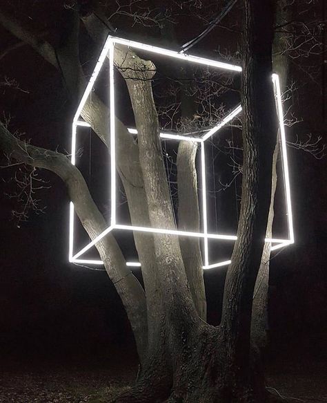 Oli Freuler, Zürich on Instagram: “@rackowe” Light Art Installation, Lights Artist, Lighting Concepts, Coffee Shop Design, Outdoor Restaurant, Light Sculpture, Light Installation, Tree Lighting, Cafe Design