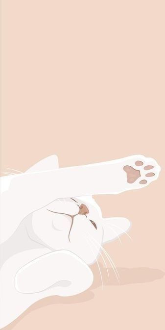 White Cat Art Illustration, White Cat Wallpaper Aesthetic, White Cat Wallpaper, 2d Wallpaper, Wallpaper Gatos, Iphone Wallpaper Pinterest, Interesting Drawings, Iphone Wallpaper Cat, Cat Background