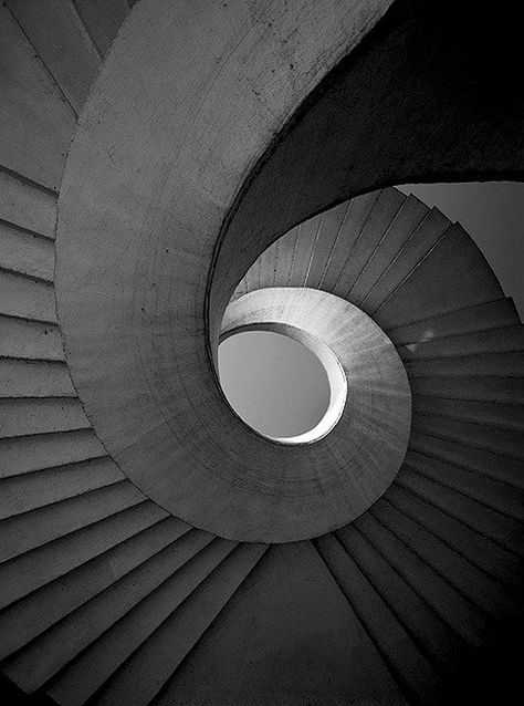 Geometric Architecture, Minimal Photography, Spiral Stairs, Website Ideas, Stair Steps, Stairway To Heaven, Space Architecture, Spiral Staircase, Swirl Design