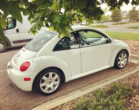 Punch Buggy Car, Beige Volkswagen Beetle, White Volkswagen Beetle, Volkswagen Beetles, Volkswagen Beetle Convertible, Bug Car, Volkswagen New Beetle, Car Deco, Beetle Car