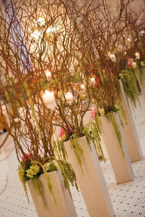 "Fresh cut Curly Willow Branches, 6 Branches per order  Length 60\" tall  Branches will remain fresh for 2 weeks or longer if kept in a cool most place. This is a natural product as such the actual item can vary  from the picture shown" Southern Belle Wedding, Wedding Reception Entrance, Barnyard Wedding, Branches Diy, Ceremony Aisle, Aisle Flowers, Curly Willow, Willow Branches, Wedding Ceremony Flowers