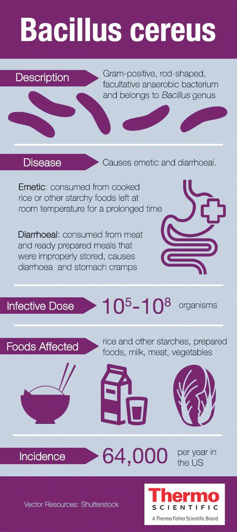 Fact sheet on Bacillus cereus Food Microbiology, Clostridium Perfringens, Food Science And Technology, How To Reheat Rice, Cells At Work, Stomach Cramps, Health Disease, Starchy Foods, Food Poisoning