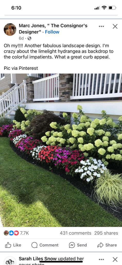 Limelight Hydrangea Landscaping, Hydrangea Landscaping, Limelight Hydrangea, Front Landscaping, Im Crazy, House Front, Plant Decor, Future House, Curb Appeal