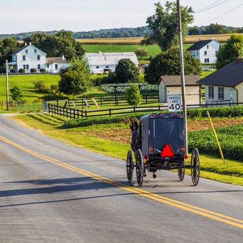 8 Fantastic Amish Markets In Lancaster County, Pennsylvania - TravelAwaits Lancaster Central Market, Amish Bakery, Amish Market, Amish Country Pennsylvania, Amish Farm, Lancaster County Pennsylvania, Pennsylvania Travel, Amish Community, Lancaster Pennsylvania