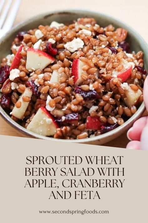 This simple sprouted wheat berry salad comes together very quickly with ingredients that you may already have on hand. Satisfying and nutritious, sprouted wheat berries contain B1 and B3 vitamins and other minerals such as magnesium and phosphorous. They have a mild taste and hearty, chewy texture. Sprouting Wheat Berries, Red Wheat Berry Recipes, Wheatberry Recipes, Wheat Berry Salad Recipes, 2024 Diet, Wheat Berry Recipes, Salad Lovers, Grain Dishes, Sprouted Wheat