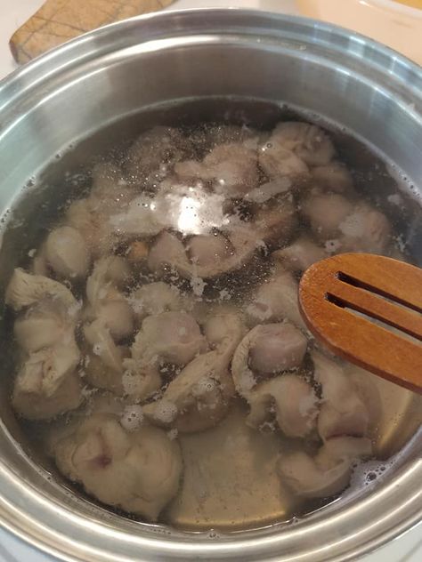 Tender Chicken Gizzards; Deep Fried Recipe - Jett's Kitchen Dinner Ideas Easy Chicken, Easy Chicken Meatballs, Air Fryer Dinner Ideas, Fried Chicken Gizzard Recipe, Dinner Recipes Air Fryer, Fried Gizzards, Fried Chicken Livers, Meatballs Chicken, Air Fryer Dinner