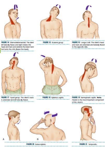 Gontlets Design, When To See A Chiropractor, Neck Therapy Exercises, Neck Pain Exercises, Neck And Shoulder Exercises, Body Massage Techniques, Bolesti Chrbta, Physical Therapy Exercises, Neck Exercises