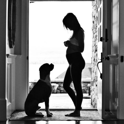 Dog Baby Announcement, Baby Announcement Pictures, Jillian Harris, Pregnant Celebrities, Foto Baby, Trendy Baby, Pregnancy Shoot, Maternity Pictures, Pregnancy Photoshoot