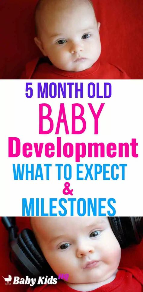 Three Month Old Baby, Baby Development Milestones, 11 Month Old Baby, 7 Month Baby, 8 Month Baby, 5 Month Baby, Baby Development Activities, 5 Month Old Baby, 4 Month Old Baby