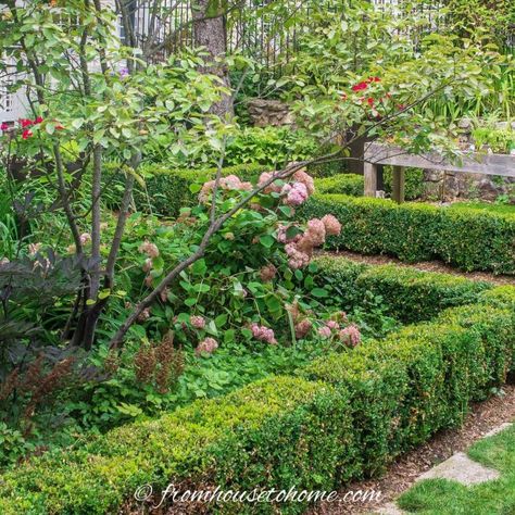 Whether you are gardening in a small space, a large backyard or even a side yard, creating a beautiful shade garden design is possible. Find some shade garden ideas and inspiration that will help you build the shade garden design of your dreams. | Bushes To Plant Under Trees Front Yard Garden Beds, Small Front Yard Garden, Blue Flowering Plants, Best Plants For Shade, Boxwood Landscaping, Shade Loving Shrubs, Shade Landscaping, Plants Under Trees, Shade Garden Design