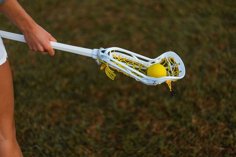 Lacrosse Stick, Women's Lacrosse, Lacrosse Sticks, Lacrosse Girls, Womens Lacrosse, Cute Animals Puppies, School Motivation, Lacrosse, Puppies