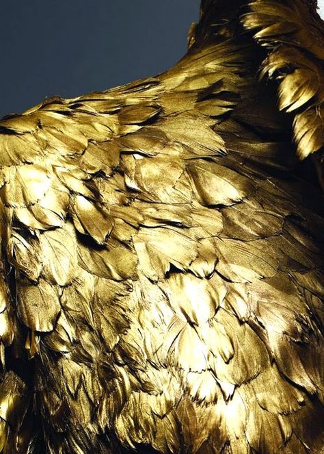 Gold Golden Bird, Savage Beauty, Feather Painting, Gold Aesthetic, Wow Art, Gold Rush, Decorative Hardware, Color Oro, Metropolitan Museum Of Art