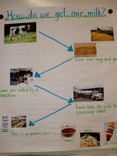 Ag Day, Milk Processing, From Farm To Table, Farm Unit, Farm Craft, Got Milk, Farm Activities, Theme Nature, Farm Ideas