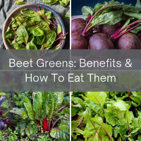 Beet Leaf Recipes, Beets Health Benefits, Beets Benefits, Beet Green Recipes, How To Make Beets, How To Boil Beets, Leaf Health, Growing Beets, Beetroot Benefits