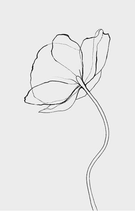 Minimalist Flower Tattoo Line Drawings, Line Drawings Flowers, Flower Line Drawing Simple, One Line Flower Tattoo, Minimal Flower Drawing, Line Work Flowers, Poppy Line Drawing, Simple Poppy Tattoo, Flower Outline Drawing