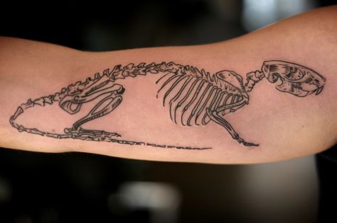 Wonderland Tattoos Rat Skeleton, Rat Skull, Rat Tattoo, Skeleton Tattoo, Wonderland Tattoo, Animal Skeletons, Skeleton Tattoos, Name Tattoo Designs, Calf Tattoo