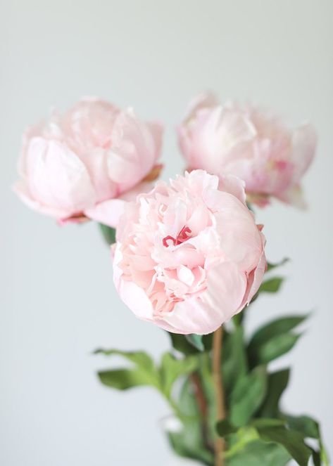 Petals Aesthetic, Closed Peony, Fake Wedding Flowers, Peony Petals, Fake Hydrangeas, Artificial Peonies, Silk Flowers Wedding, Fake Flower, Pink Wedding Flowers