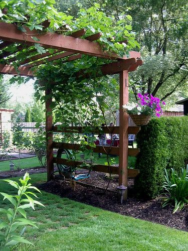 Backyard Getaway, Grill Station, Pergola Garden, Garden Vines, Garden Arbor, Cottage Garden Design, Backyard Landscape, Gazebo Pergola, Backyard Pergola