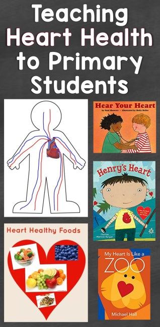 Teaching Heart Health to Primary Students Heart Lesson, High School Health, Health Lesson Plans, Heart Health Month, School Nutrition, Adolescent Health, Health Class, School Health, Health Activities