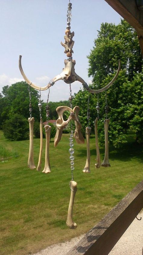 Bone Wind Chime, Bone Sculpture, Oddities Decor, Animal Skeleton, Magia Das Ervas, Taxidermy Art, Bone Crafts, Vulture Culture, Witchy Crafts