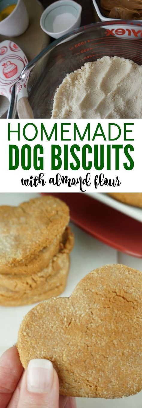 Homemade Dog Treats with Almond Flour! Healthy treats for your pups that they will love! DIY And Easy to make at home with only 5 Simple Ingredients! #diydogtreats #dogtreats #easypetrecipes Homemade Dog Biscuits, Biscuits Homemade, Homemade Dog Cookies, Dog Biscuits Homemade, Dog Biscuit Recipes, Biscuits Easy, Diy Dog Treats, Healthy Dog Treat Recipes, Dog Cookies