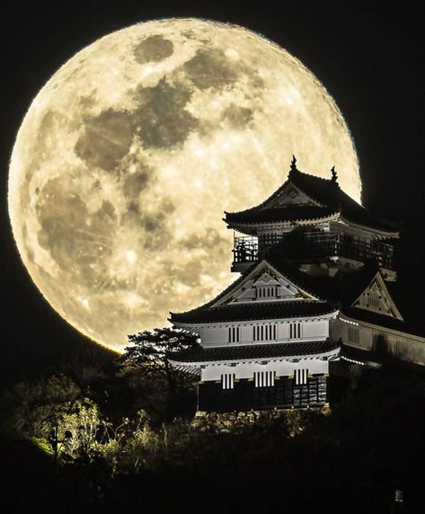 Ghibli Artwork, Art Abstract, Tattoo Ideas, Temple, Abstract Art, Gif, Moon, Wallpapers, Architecture