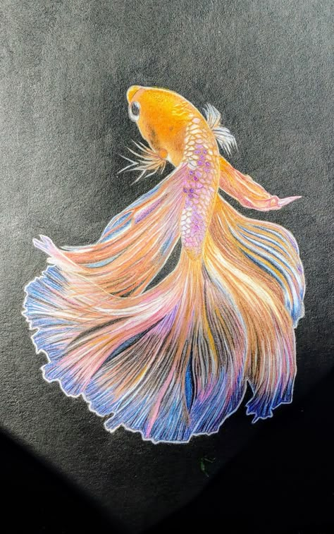 Beta Fish Sketch, Beta Fish Drawing, Fish Sketch, Beta Fish, Mixed Media Art Canvas, Fish Drawings, Truck Art, Acrylic Painting Tutorials, Outline Drawings