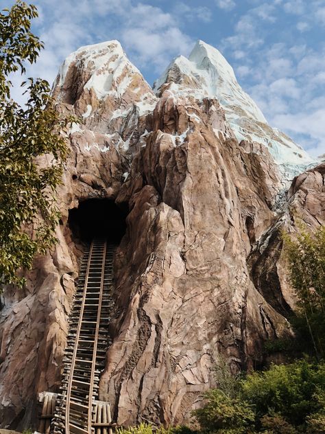 Animal Kingdom Rides, Expedition Everest, Florida Holiday, Disney Adult, Splash Mountain, Disney Aesthetic, Happiest Place On Earth, Disney Trip, Magical Places