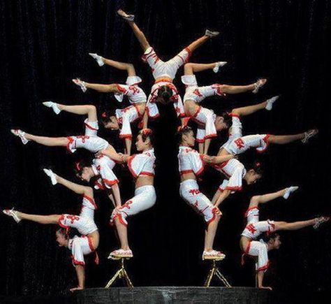 Spectacular acrobat formation Human Pyramid, Acro Gymnastics, Circus Acts, Dance Project, Take My Breath, Funny Clips, Awe Inspiring, Videos Funny, Gymnastics