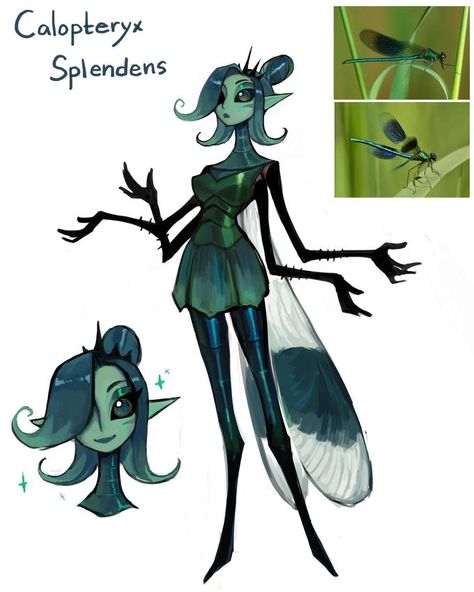 Calopteryx Splendens Matilda Fiship, Damsel Fly, Creature Fantasy, Arte Sketchbook, Mythical Creatures Art, Creature Concept Art, Creature Concept, Monster Girl, Character Design References