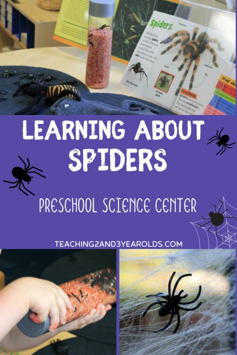 Learning about spiders is a fall favorite at our preschool science center, creating a fun invitation to explore nature. #science #spiders #preschool #toddler #fall Preschool Spiders, Preschool Science Center, Spider Science, Spiders Preschool, Science Center Preschool, Spider Unit, Science Table, Nature Preschool, Fall Activities For Toddlers