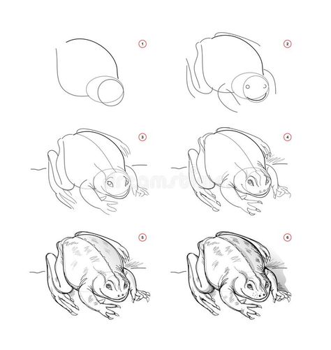 Toad Drawing Step By Step, How To Draw Toad Step By Step, How To Draw Frogs, Toad Sketch, Draw Sketch, Step By Step Drawing, Toad, Pencil Drawing, Learn To Draw