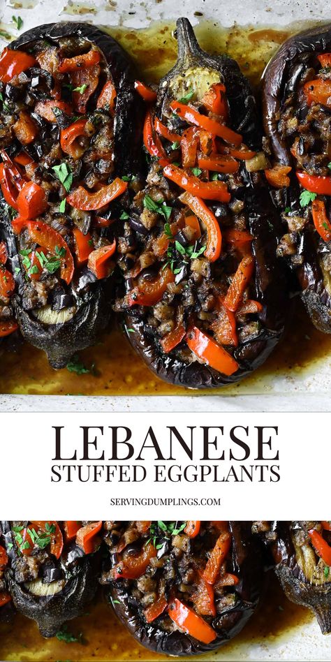 Lebanese Stuffed Eggplant, Egg Plant Ideas, Vegan Stuffed Eggplant, Stuffed Aubergine Recipe, Stuffed Eggplant Recipes Vegetarian, Small Eggplant Recipes, How To Cook Eggplant, Greek Eggplant Recipes, Eggplant Napoleon Recipe