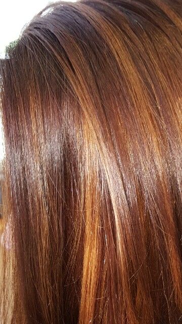 Auburn Hair With Highlights, Brunette Hair Color With Highlights, Hair Color Caramel, Gorgeous Hair Color, Fall Hair Color For Brunettes, Hair Color Auburn, Honey Hair, Hair Color Highlights, Hair Color And Cut