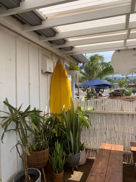 surfboard decor Hawaii Surf Aesthetic, Hawaii Apartment, Plants Cute, Hawaii House, Aesthetic Plants, Surf Aesthetic, Hawaii Homes, Hawaii Surf, Hawaii Life