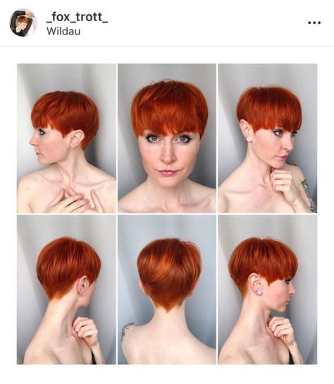 Orange Pixie Cut, Short Punk Hair, Funky Short Hair, Pixie Cut With Bangs, Punk Hair, Hair Brained, Haircut And Color, Girl Short Hair, Short Hair Haircuts