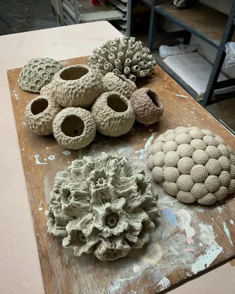 Deep Clay Art, Coral Pottery Ideas, Natural Form Sculpture, Pottery Coral Reef, Natural Forms Sculpture, Ceramic Nature Sculpture, Coral Ceramic Art, Sea Inspired Pottery, Coral Clay Sculpture