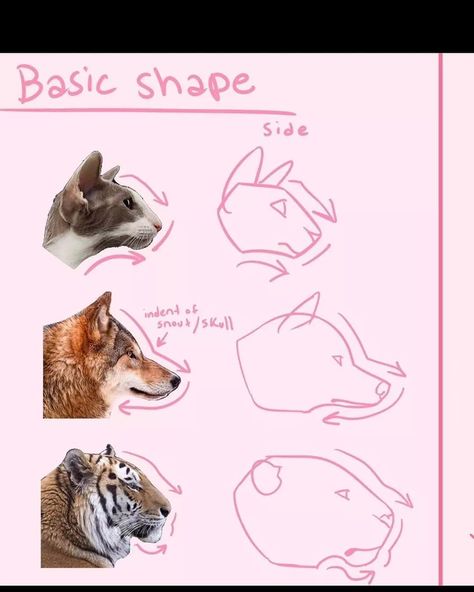 Art Tips & Tutorials! on Instagram: “credit: @zotaita #art #arttutorial #drawing #sketch #artreference #reference #digitalart #anime #draw #illustration #drawinghelp #help…” Funny Pet Memes, Animal Sketch, Cats Art Drawing, Tiger Drawing, Nature Sketch, Pet Memes, Animal Study, Canine Art, Photo Awards