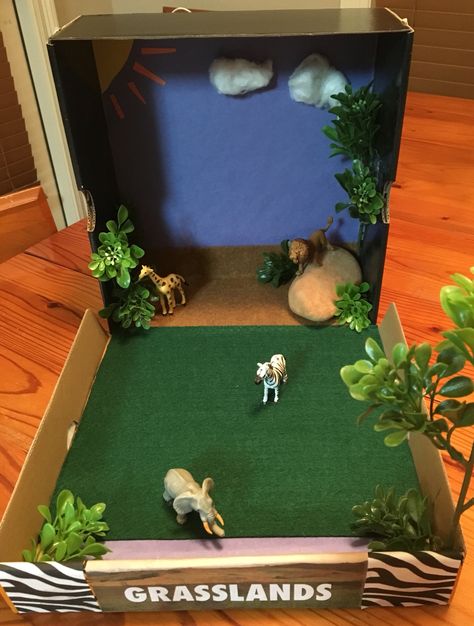 Grasslands Ecosystem Diorama/Model 3rd Grade Project Grassland Ecosystem Project, Grasslands Habitat Project, Grasslands Diorama, Grassland Project, Grassland Diorama, Diy Ecosystem, Ecosystem Diorama, Grassland Ecosystem, Ecosystems Diorama