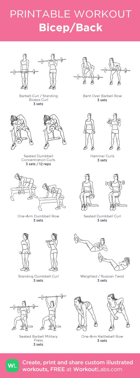 Back And Bicep Workout, Workout Morning, Workout Labs, Fitness Studio Training, Workout Man, Bicep Workout, Printable Workout, Gym Plan, Printable Workouts