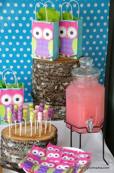 Owl Party Ideas, Owl Birthday Decorations, Owl Birthday Party Ideas, Food Decoration Ideas, Owl Party Decorations, Owl Themed Birthday Party, Owl 1st Birthdays, Owl Themed Parties, Owl Birthday Party