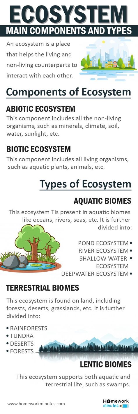 Types Of Ecosystems, Biotic And Abiotic, Ecosystem Activities, Ecosystems Projects, School Works, Optical Illusion Drawing, Illusion Drawings, Career Success, Ecosystem