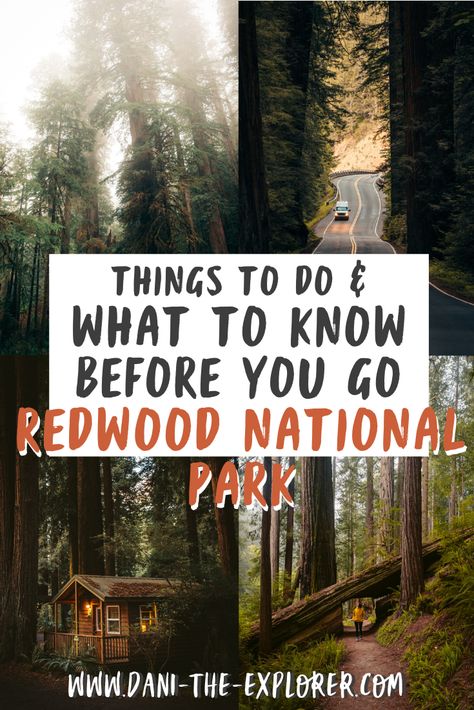 Camping Lists, California Places To Visit, Redwood National And State Parks, Beautiful California, Redwood National Park, The Redwoods, West Coast Road Trip, National Park California, National Park Road Trip