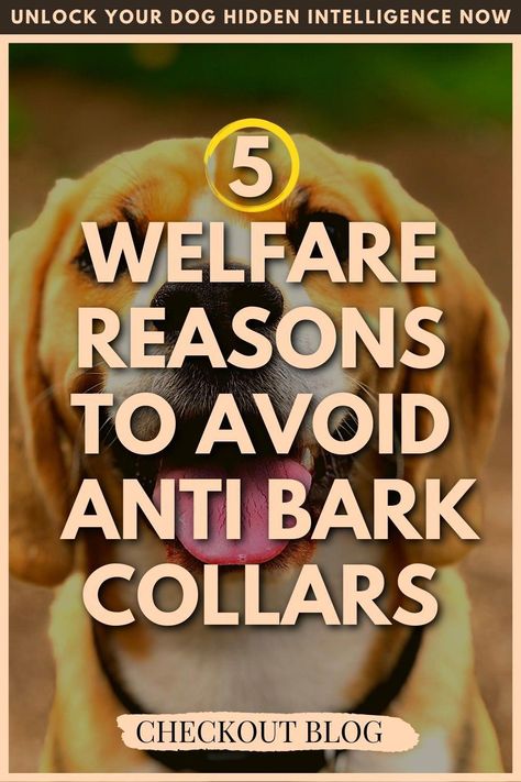 Bark Collars For Dogs, Train Dog, Dog Training Barking, Stop Dog Barking, Sensitive People, Dog Barking, Write To Me, Dog Training Tips, Training Your Dog