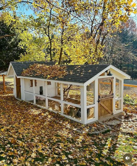 Backyard With Chicken Coop, Simple Chicken Coop Ideas, Luxurious Chicken Coop, Chicken Coop Inside Run, Chicken Enclosure Ideas, Chicken Coop Run Ideas, Dreamy Chicken Coop, Call Duck Pen, Pretty Chicken Coop